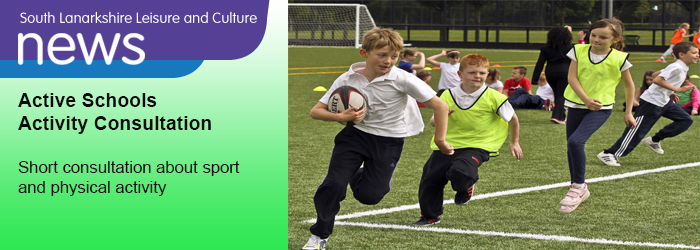 Active Schools Consultation 2013