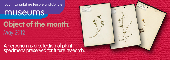 A herbarium is a collection of plant specimens preserved for future research. Herbaria are used to identify and classify different plant specimens.