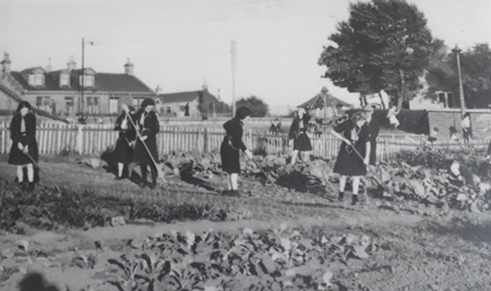 Girl Guides digging for victory at Glenview, Larkhall c.1942 (image courtesy of Mrs Chapman, Larkhall)