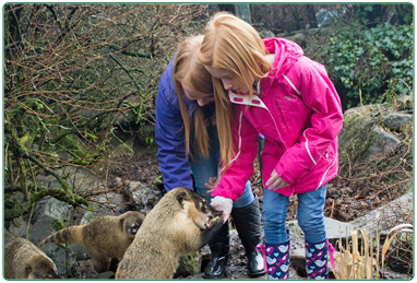 Image forCalderglen Zoo's animal experiences