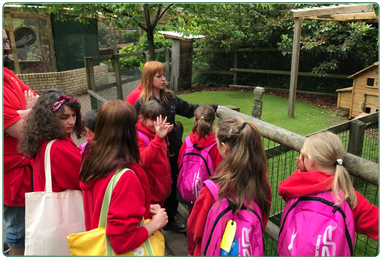 Group visits to Calderglen