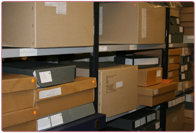 Collections inventory and digitisation