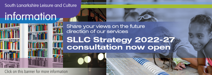 SLLC Strategy Consultation