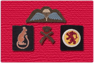 Military Badges and Insignia