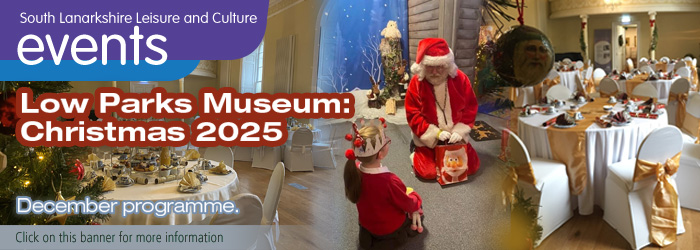 A Christmas Night with Mrs Claus